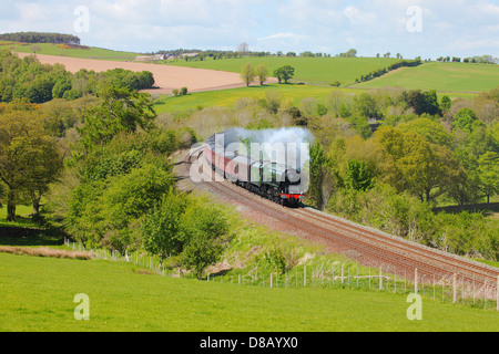 LMS Princess Coronation Klasse 46233 Herzogin von Sutherland Dampfzug in der Nähe von Low Baron Holz Bauernhof Armathwaite Eden Valley, Cumbria, Stockfoto