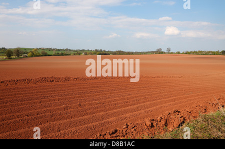Frisch gepflügten Feld der roten Erde Staffordshire, England, Großbritannien Stockfoto