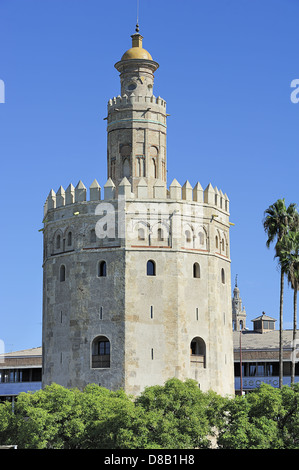 Blick auf goldene Turm (Torre del Oro), Sevilla, Spanien Stockfoto