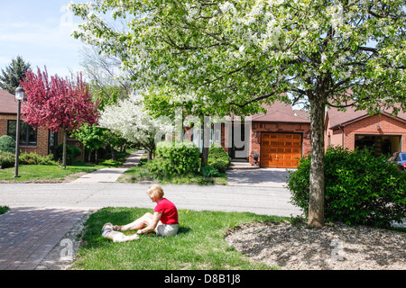 Frühling oder im Frühjahr in Ontario; Kanada mit Crabapple Bäume in voller Blüte in einer Siedlung mit interlock Gehwege Stockfoto