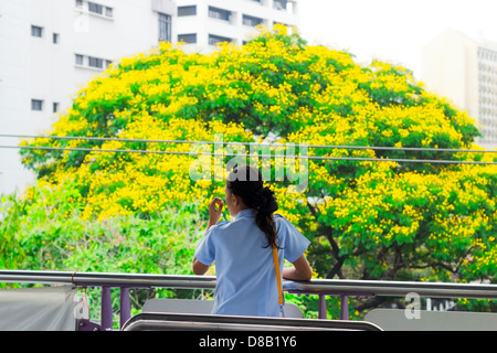 MOJIT SKYTRAIN STATION, BANGKOK, THAILAND 18. März 2012: Frau wartet Zug am Mo Chit Station, Bangkok Stockfoto