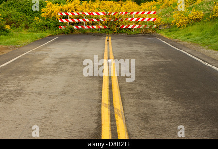 Sackgasse in Olympia, Washington State, USA. Stockfoto