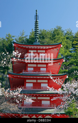 Chureito-Pagode und Kirsche blüht am Arakura-Yama sich-Koen park Japan Stockfoto