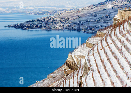 Lavaux, Schweiz Stockfoto