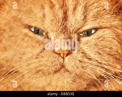 Süße Katzengesicht Nahaufnahme Hochformat. Gemalt auf Leinwand Effekt Stockfoto