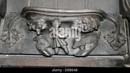 Misericords Sitz Eicheln für die Schweine Oktober St Marys Kirche Ripple Worcestershire England UK Stockfoto