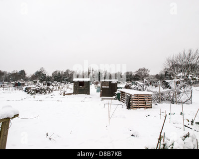 Stadtgarten und Zuteilungen eingefroren, während einige Winter Schnee- und Eisglätte in Surrey, England Stockfoto