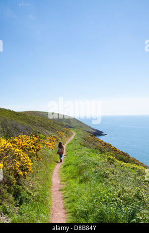 Junge weibliche Walker auf dem Pembrokeshire Küstenweg Stockfoto