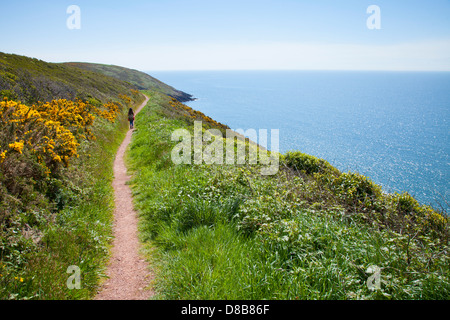 Junge weibliche Walker auf dem Pembrokeshire Küstenweg Stockfoto