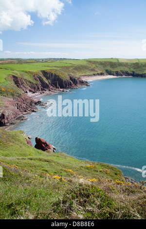 Blick Richtung Swan Lake Bay, Pembrokeshire, UK Stockfoto