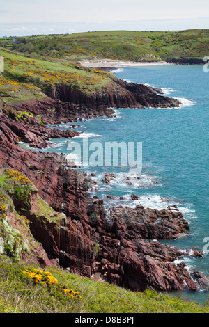 Blick Richtung Swan Lake Bay auf der Pembrokeshire Küstenweg, UK Stockfoto