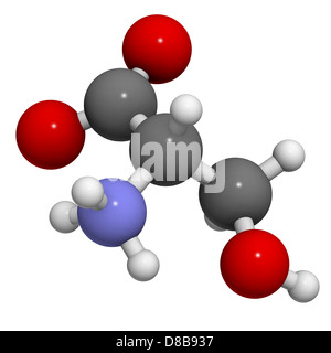 Aminosäure Serin (Ser, S), molekulare Modell. Aminosäuren sind die Bausteine der Proteine. Stockfoto
