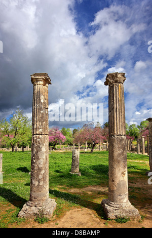 Die Palästra im antiken Olympia, der Geburtsstätte der Olympischen Spiele, Ilia, Peloponnes, Griechenland. Stockfoto