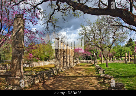 Die Palästra im antiken Olympia, der Geburtsstätte der Olympischen Spiele, Ilia, Peloponnes, Griechenland. Stockfoto