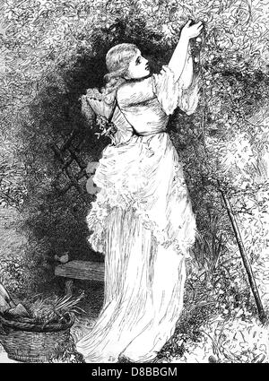 Lady Gärtner der 1870er Jahre Stockfoto