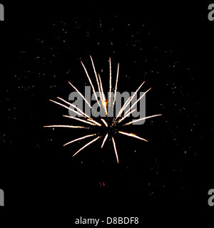Ein lebhaftes Feuerwerk, das während einer Feier am 4. Juli in Sternenform platzt. Das farbenfrohe Feuerwerk beleuchtet den Nachthimmel und schafft eine festliche und patriotische Atmosphäre. Stockfoto
