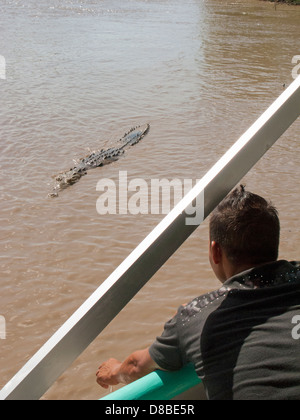 weibliche Krokodil nähert sich ein Boot auf dem Fluss Tempisque in Nationalpark Palo Verde, Guanacaste, Costa Rica Stockfoto