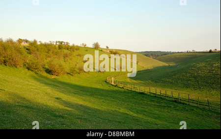Abendsonne bei der Küchenschelle Reserve in Ampney Down nr. Cirencester Stockfoto