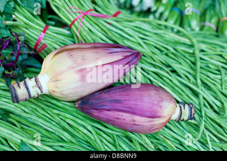 Bananen-Blumen auf Spargel-Hintergrund Stockfoto