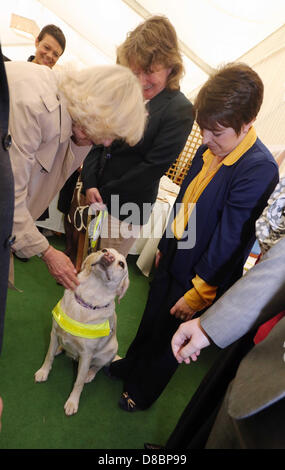 Hay on Wye, UK. Donnerstag, 23 Mai 2013 Bild: The Duchess of Cornwall streichelt einen Blindenhund auf dem Festivalgelände.  Re: Seine königliche Hoheit Prinz Charles und Frau Camilla, die Herzogin von Cornwall haben die Stadt und das Festivalgelände im Heu besuchten am Wye, Powys, Wales. Bildnachweis: D Legakis/Alamy Live-Nachrichten Stockfoto