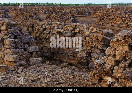 Gruben Torf, Goldenstedt moor, Niedersachsen, Deutschland, Europa Stockfoto