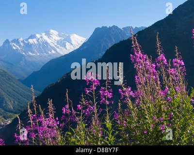 Flut d'emosson, Wallis, Schweiz Stockfoto