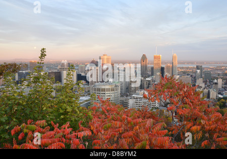 Blick über die Skyline von Montreal vor Sonnenuntergang, vom Mont-Royal, im Herbst. Stockfoto