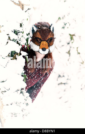 Frau trägt eine Maskierung Fuchs im Schnee Stockfoto