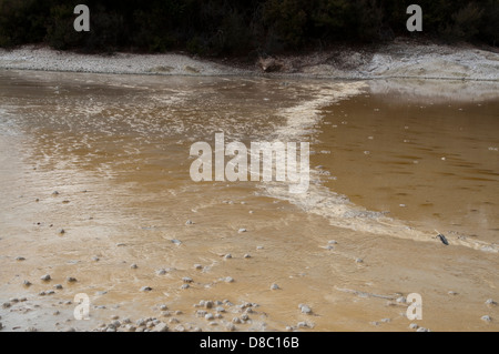 Wai-O-Tapu Thermalbereich ist eine hochaktive geothermische Gebiet mit vielen eingestürzten Krater, warme und kalte Becken in Neuseeland Stockfoto