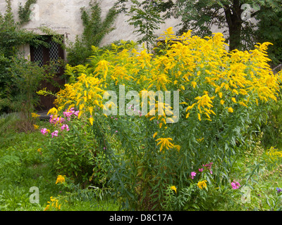 Chamonix, haute Savoie, Frankreich Stockfoto