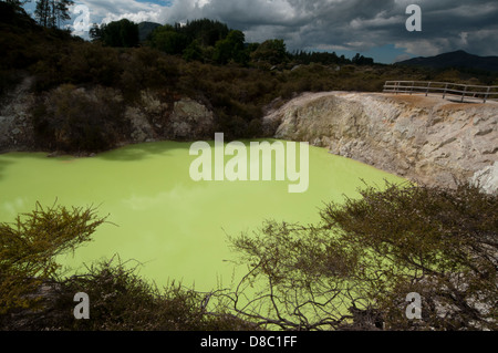 Wai-O-Tapu Thermalbereich ist eine hochaktive geothermische Gebiet mit vielen eingestürzten Krater, warme und kalte Becken in Neuseeland Stockfoto