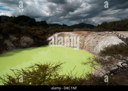 Wai-O-Tapu Thermalbereich ist eine hochaktive geothermische Gebiet mit vielen eingestürzten Krater, warme und kalte Becken in Neuseeland Stockfoto