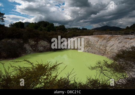 Wai-O-Tapu Thermalbereich ist eine hochaktive geothermische Gebiet mit vielen eingestürzten Krater, warme und kalte Becken in Neuseeland Stockfoto