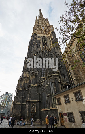 Vienna Stephansdom oder St.-Stephans Kathedrale Stephansplatz Stockfoto