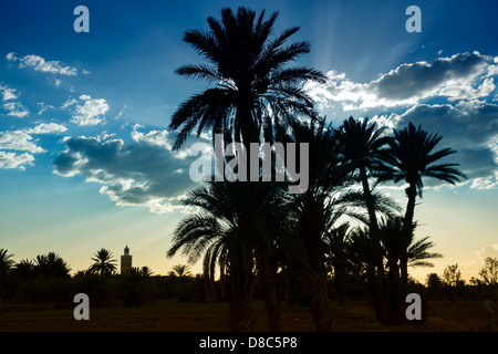 Silhouette von einem Minarett und Termine Palmen vor einem bewölkten blauen Himmel bei Sonnenuntergang. Stockfoto