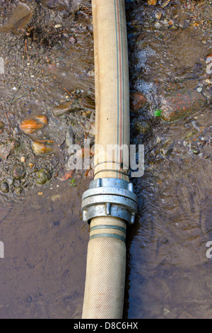 verschwenden Wasser im Garten - gebrochenen großen Schlauch Stockfoto