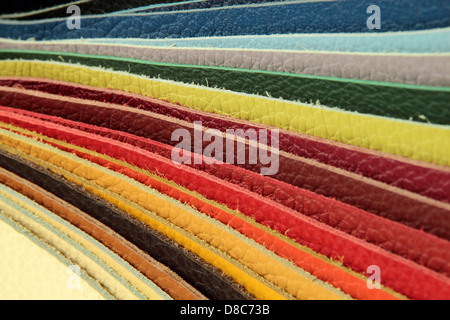 Palette Probe Farbwähler aus Leder material Stockfoto