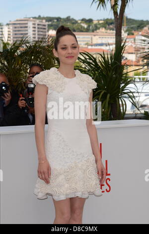 Cannes, Frankreich. 24. Mai 2013. Schauspielerin Marion Cotillard besucht den Fototermin für "The Immigrant" auf dem 66. jährlichen Cannes Film Festival am 24. Mai 2013 in Cannes, Frankreich. (Bild Kredit: Kredit: Friedrich Injimbert/ZUMAPRESS.com/Alamy Live-Nachrichten) Stockfoto