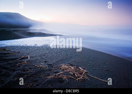 Birdlings Flat Canterbury New Zealand - Strand an einem nebligen Morgen, mit Treibholz im Vordergrund. Stockfoto