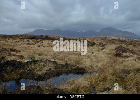 Irish Bog Sphagnum-Moos löst Verbindungen, die menschliches Gewebe als das Moos zerfällt zu erhalten wird es Torf gebrannt werden kann. Stockfoto