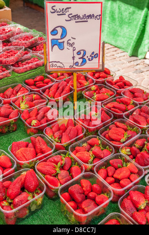 Süße Erdbeeren zum Verkauf auf dem Markt in Cambridge, England, Großbritannien, Vereinigtes Königreich Stockfoto