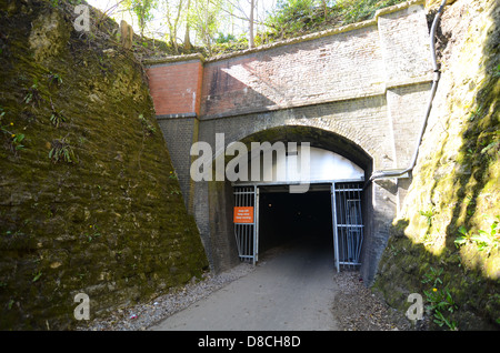 Combe Down Tunnel in der Nähe von Bath, Großbritannien, eröffnet für Radfahrer in 2013. Einmal ist es jetzt für Züge, Großbritanniens längsten Radwege Tunnel. Stockfoto