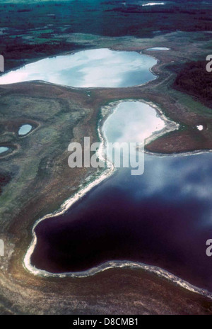 Diese Luftaufnahme zeigt einen Blick aus der Vogelperspektive auf Feuchtgebiete, in denen Wasser und Vegetation eine natürliche Landschaft bilden. Feuchtgebiete sind ökologisch wichtige Gebiete, in denen eine Vielzahl von Wildtieren und Pflanzen leben. Das Bild zeigt die Weite der Feuchtgebiete und ihre Rolle bei der Erhaltung des ökologischen Gleichgewichts durch Filterung von Wasser, Verhinderung von Überschwemmungen und Bereitstellung von Lebensräumen für zahlreiche Arten. Stockfoto