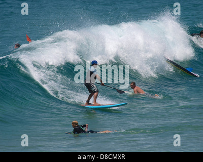 Board Surfer und Schwimmer Newcastle, New South Wales, Australien Stockfoto