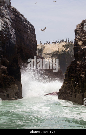 Wellen, die über die Palomino Inseln und Pelikane sitzen im Hintergrund, Peru Stockfoto