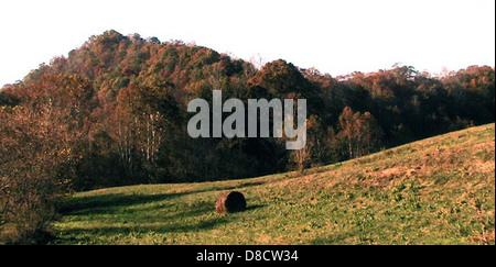 Ein einsamer Heuballen auf einem Feld vor dem Hintergrund des offenen Landes. Der Ballen wird mittig positioniert, wobei sich die weite Landschaft in der Entfernung erstreckt. Stockfoto