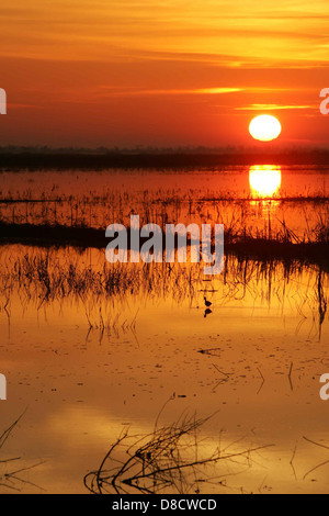 Ein atemberaubender Sonnenuntergang strahlt ein warmes Leuchten über das Wasser und schafft eine ruhige und ruhige Szene. Der Himmel ist voller leuchtender Farben, die sich wunderbar auf der ruhigen Oberfläche darunter spiegeln. Stockfoto