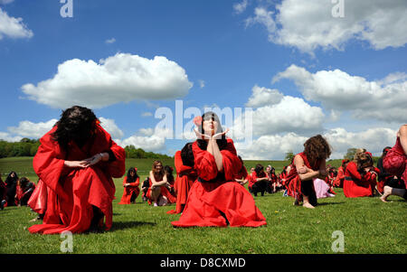 Brighton, Sussex, UK. 25. Mai 2013. Hunderte von Menschen und sogar einige Hunde verkleidet als Kate Bush für Brighton Festival Stockfoto