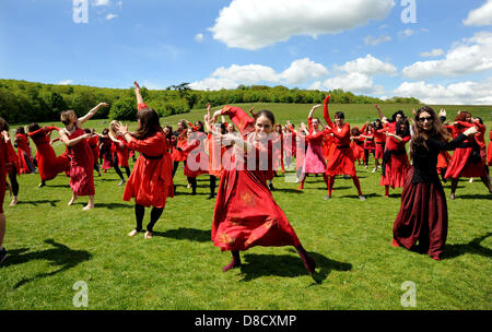 Brighton, Sussex, UK. 25. Mai 2013. Hunderte von Menschen und sogar einige Hunde verkleidet als Kate Bush für Brighton Festival Stockfoto