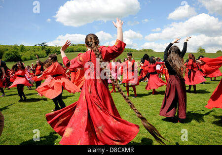 Brighton, Sussex, UK. 25. Mai 2013. Hunderte von Menschen und sogar einige Hunde verkleidet als Kate Bush für Brighton Festival Stockfoto